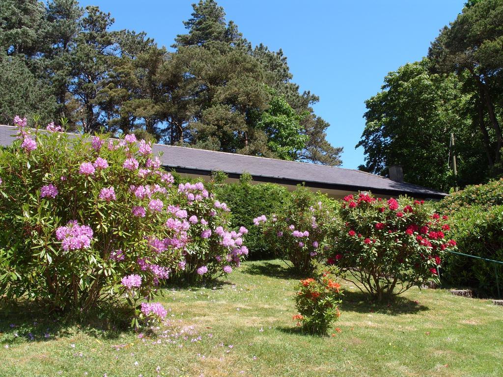 Plas Heulog Holiday Accommodation 兰韦尔弗亨 外观 照片